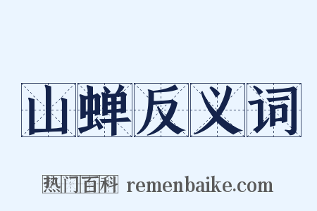 山蝉反义词是什么意思的图片